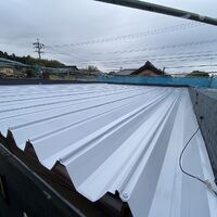 S__14581777-min