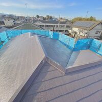 S__7381003-min