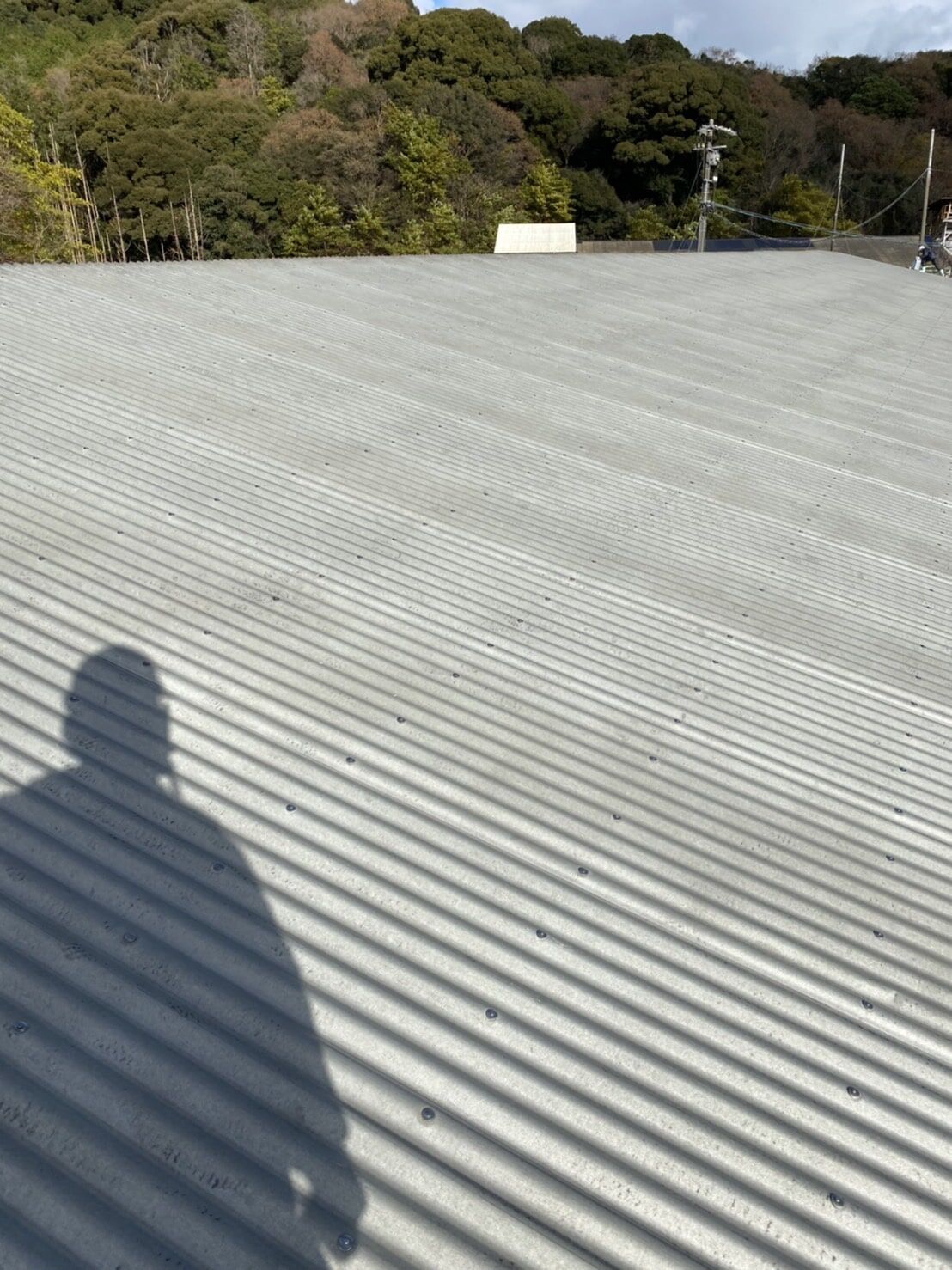 S__6545439-min