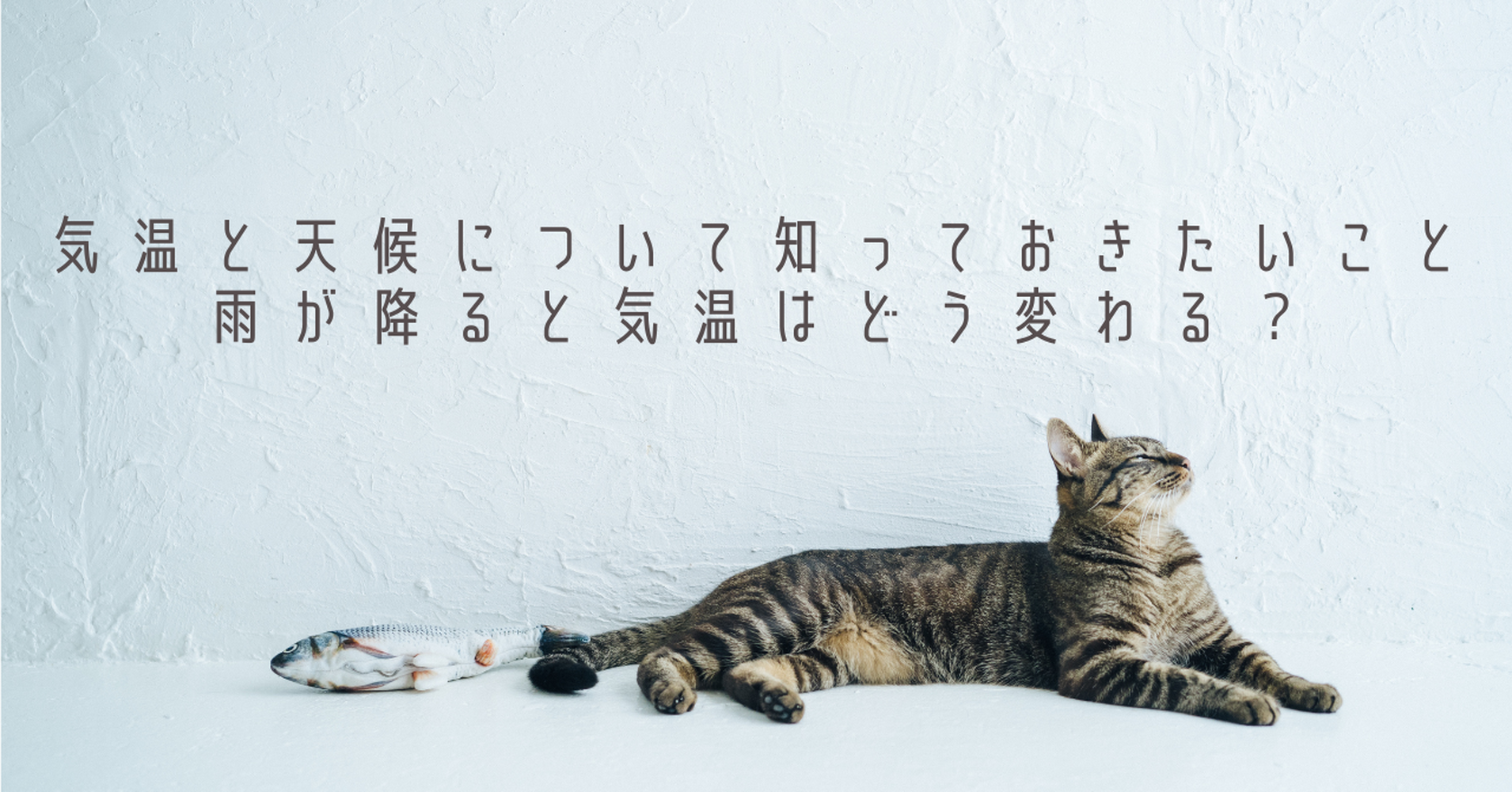 画像17818
