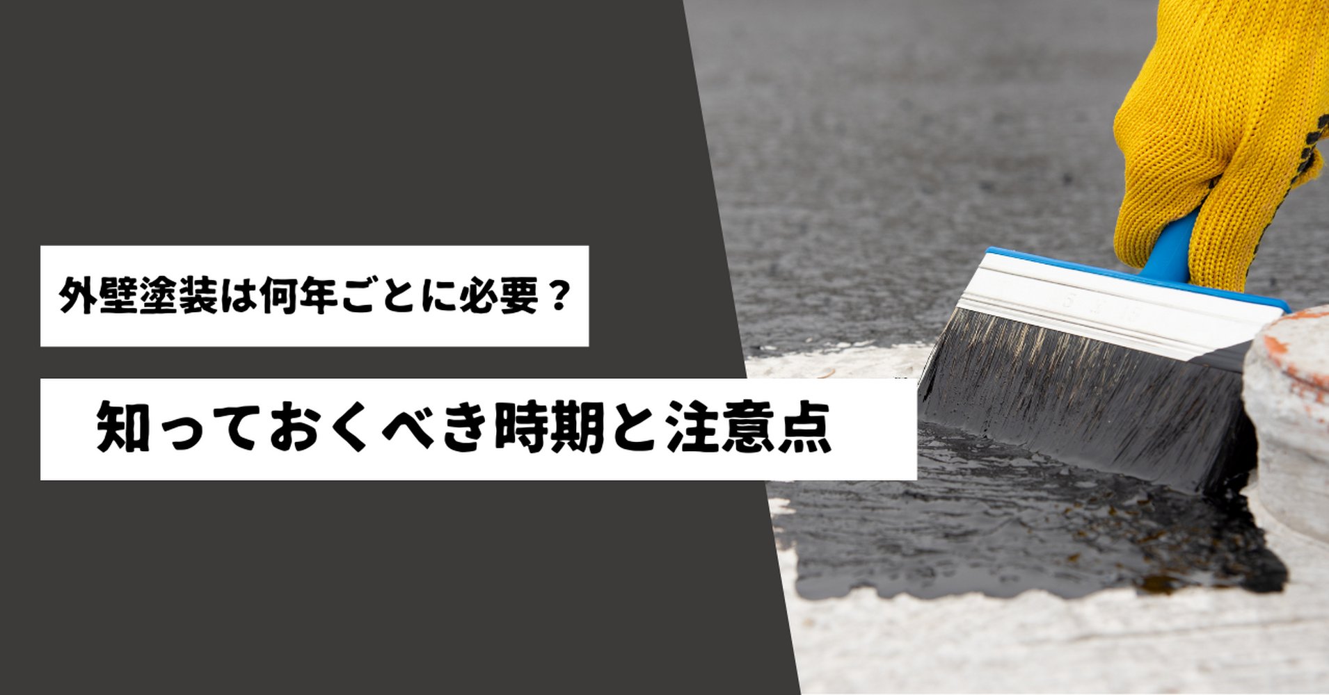 画像3000