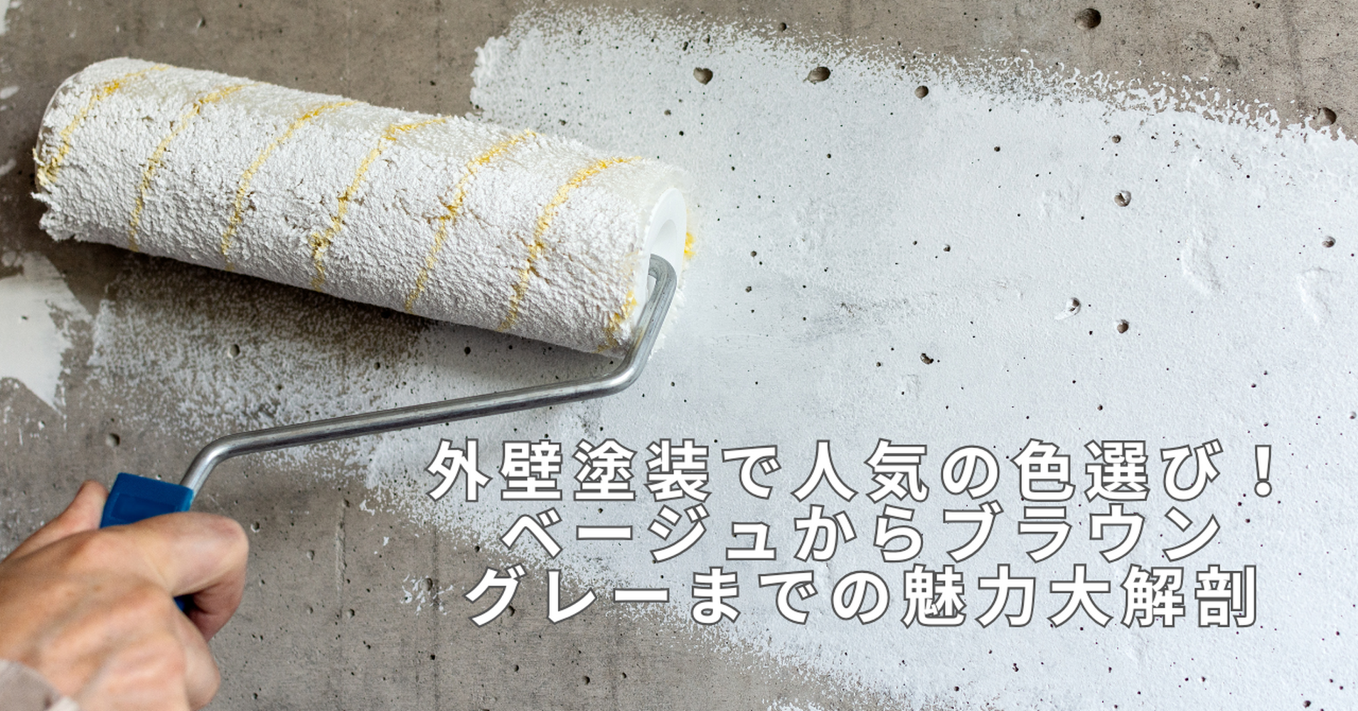 画像5981